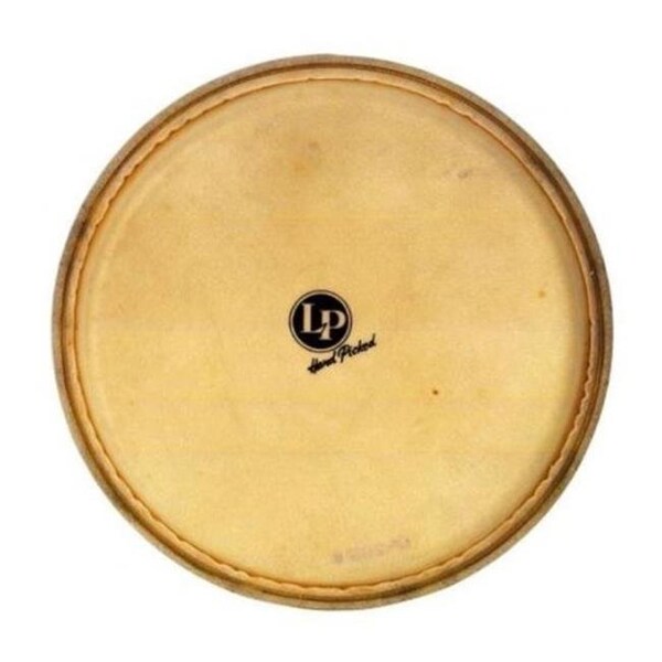 Drum Workshop Latin Percussion LP274D 14 in. Replacement Head for Super Tumba LP274D - main